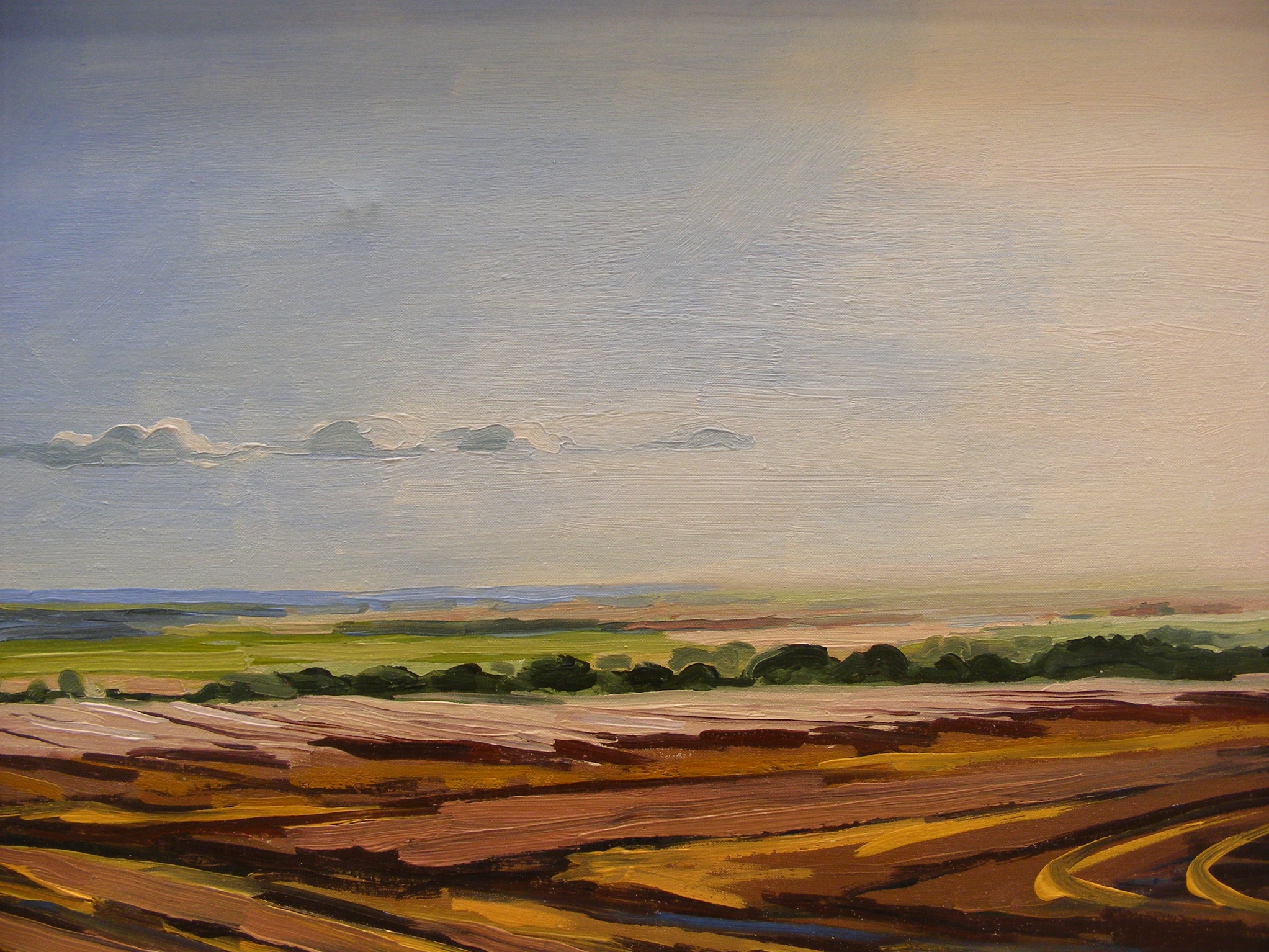Ploughed field large