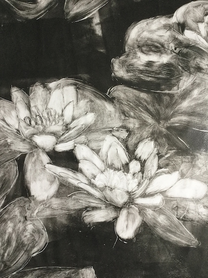 waterlillies1